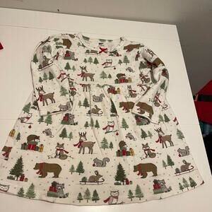 Hudson Baby Brand Girl's size 3T Holiday Woodland Animal Print Dress